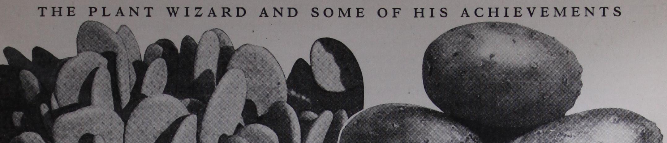 Luther 1849  Burbank