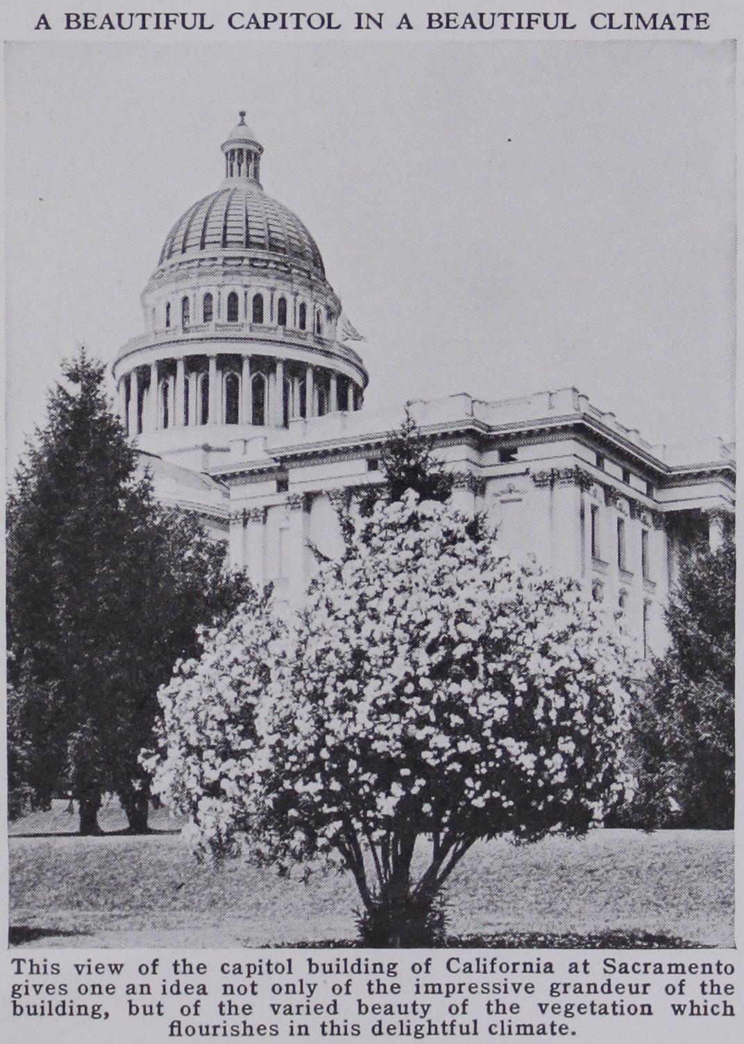 California California