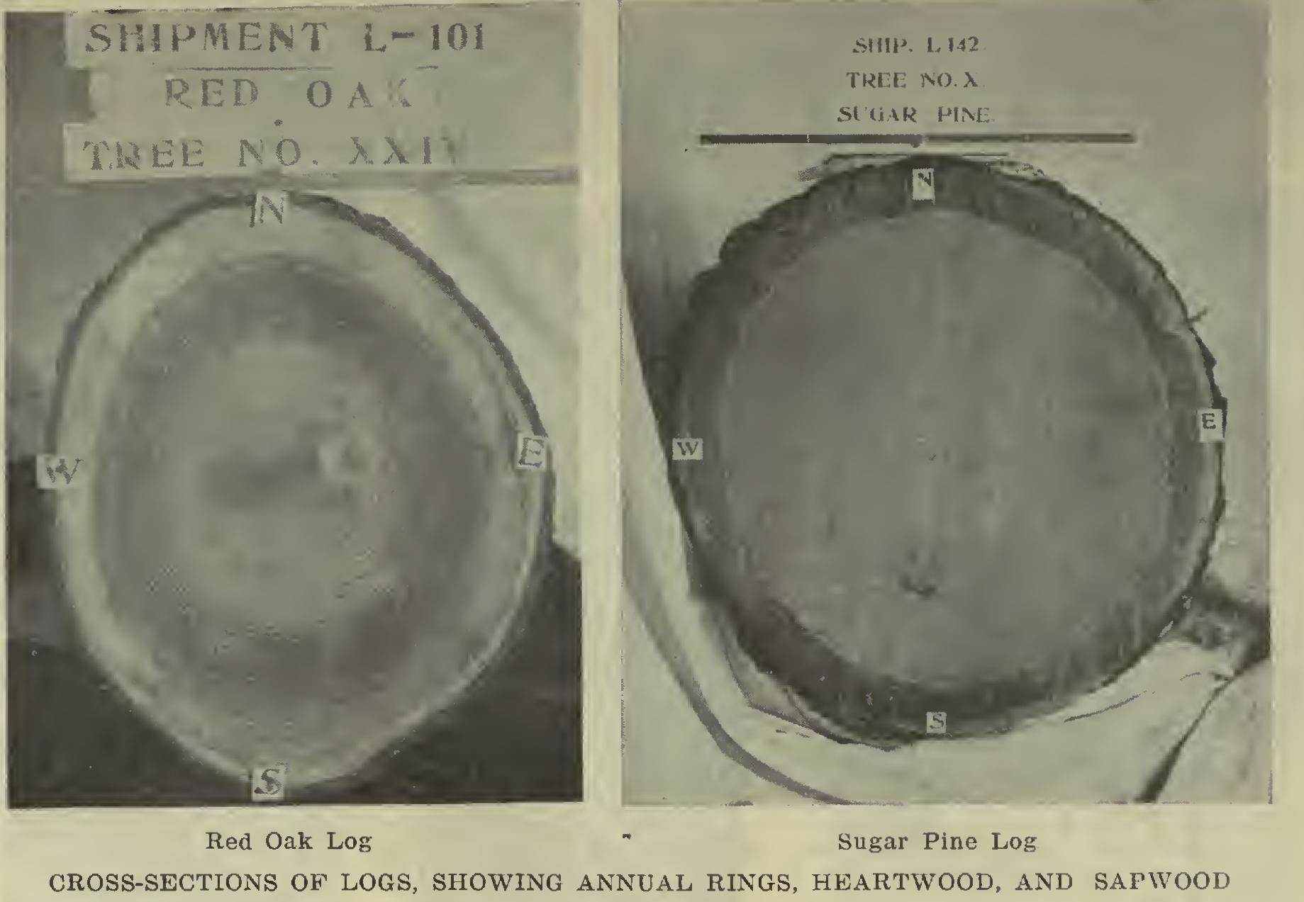 Strength of Woods Strength of Woods