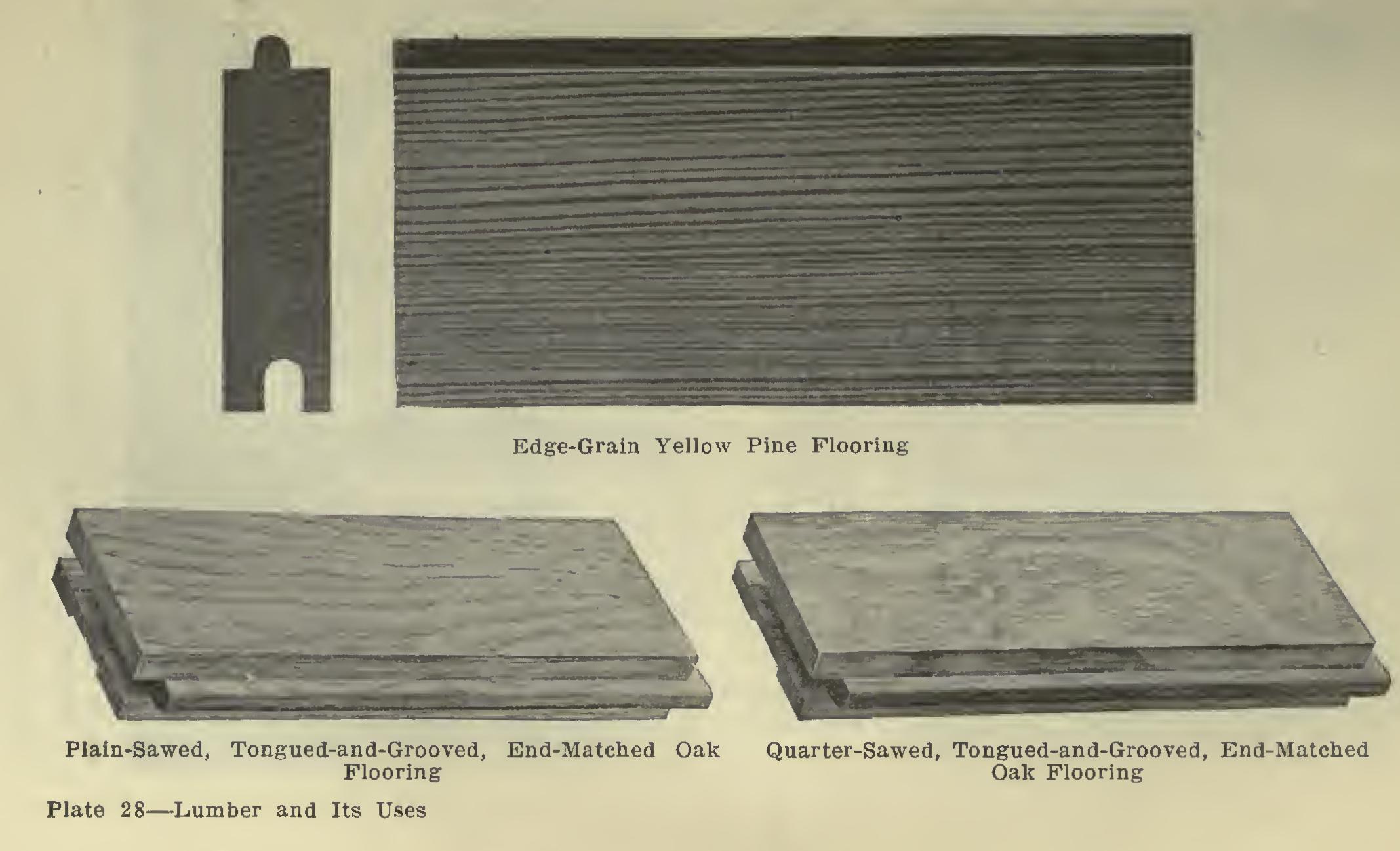 Industry Reports Industry Reports