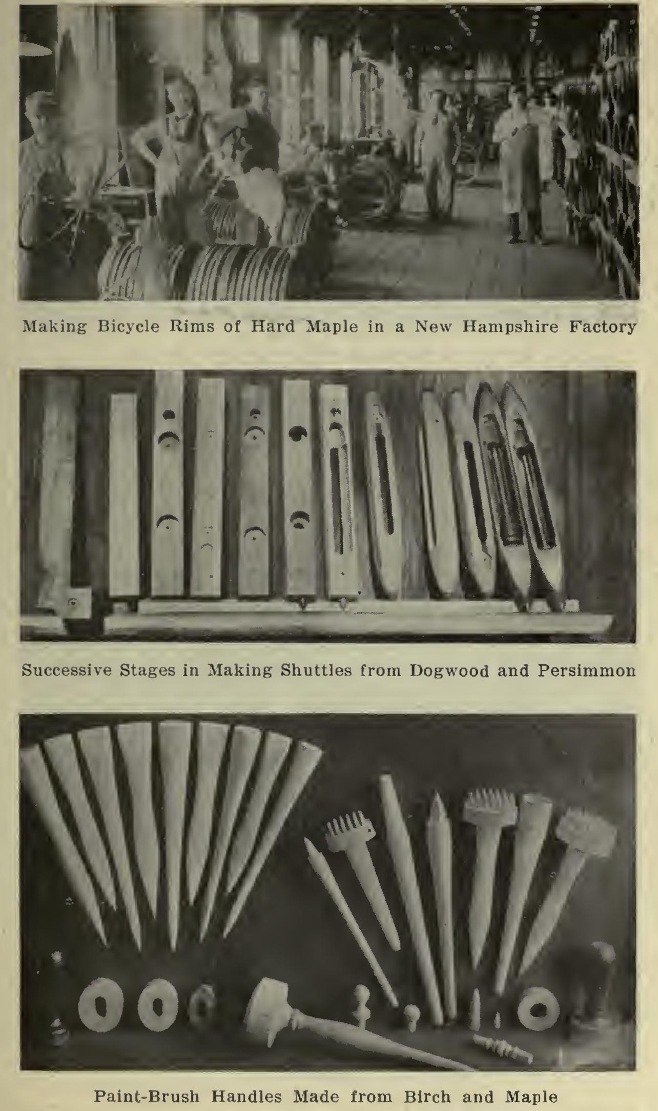 Hornbeam - Heavy Hard and Tough American Wood