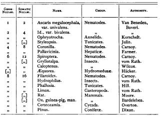 Union of the Germ-Cells