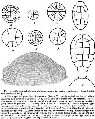 Geometrical Relations of Cleavage-Forms