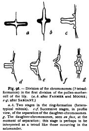 Reduction in the Plants
