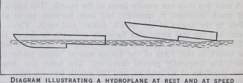 Hydroplane