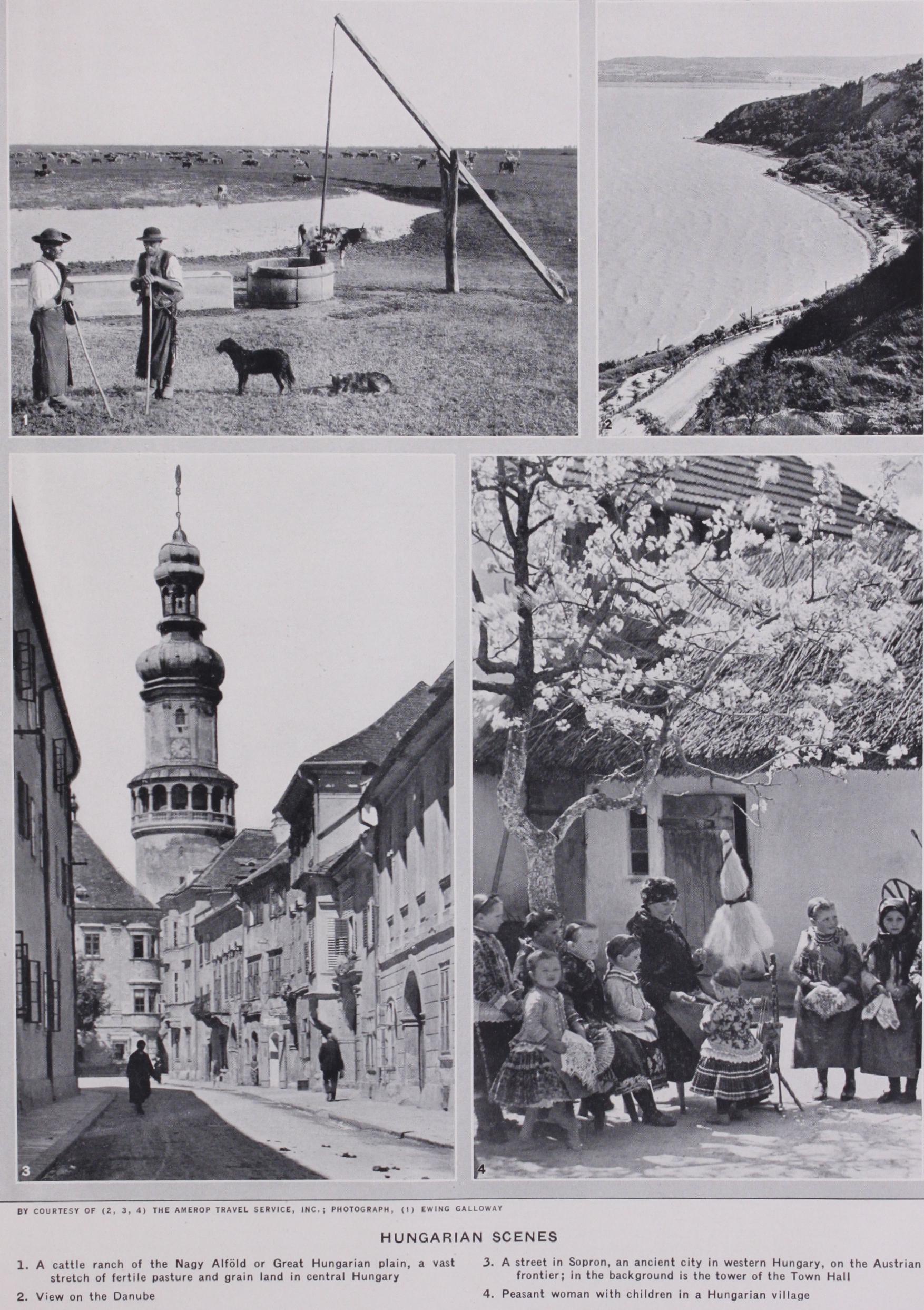 Partition of Hungary and Turkish Rule Partition of Hungary and Turkish Rule