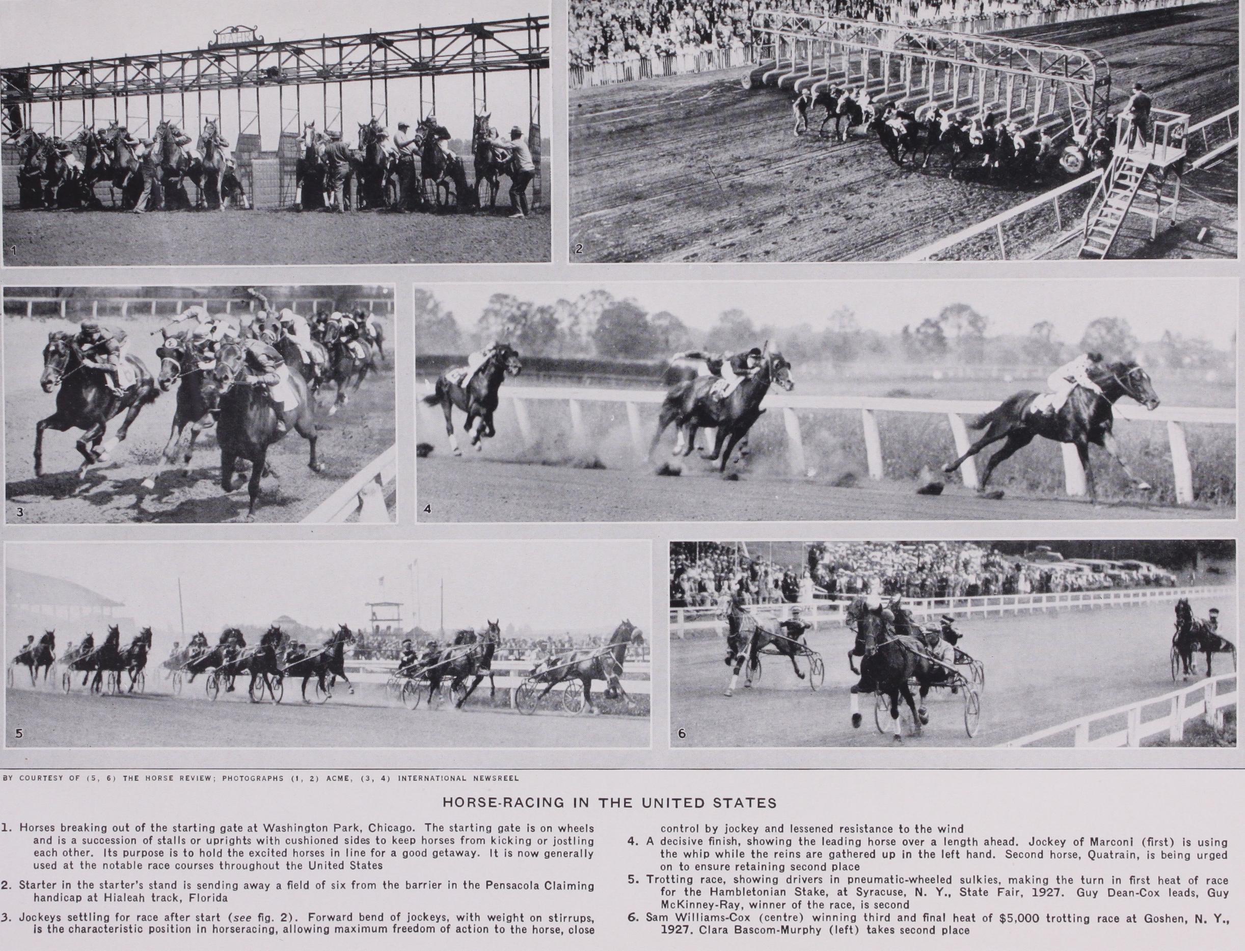 Steeplechasing and Hurdle Racing