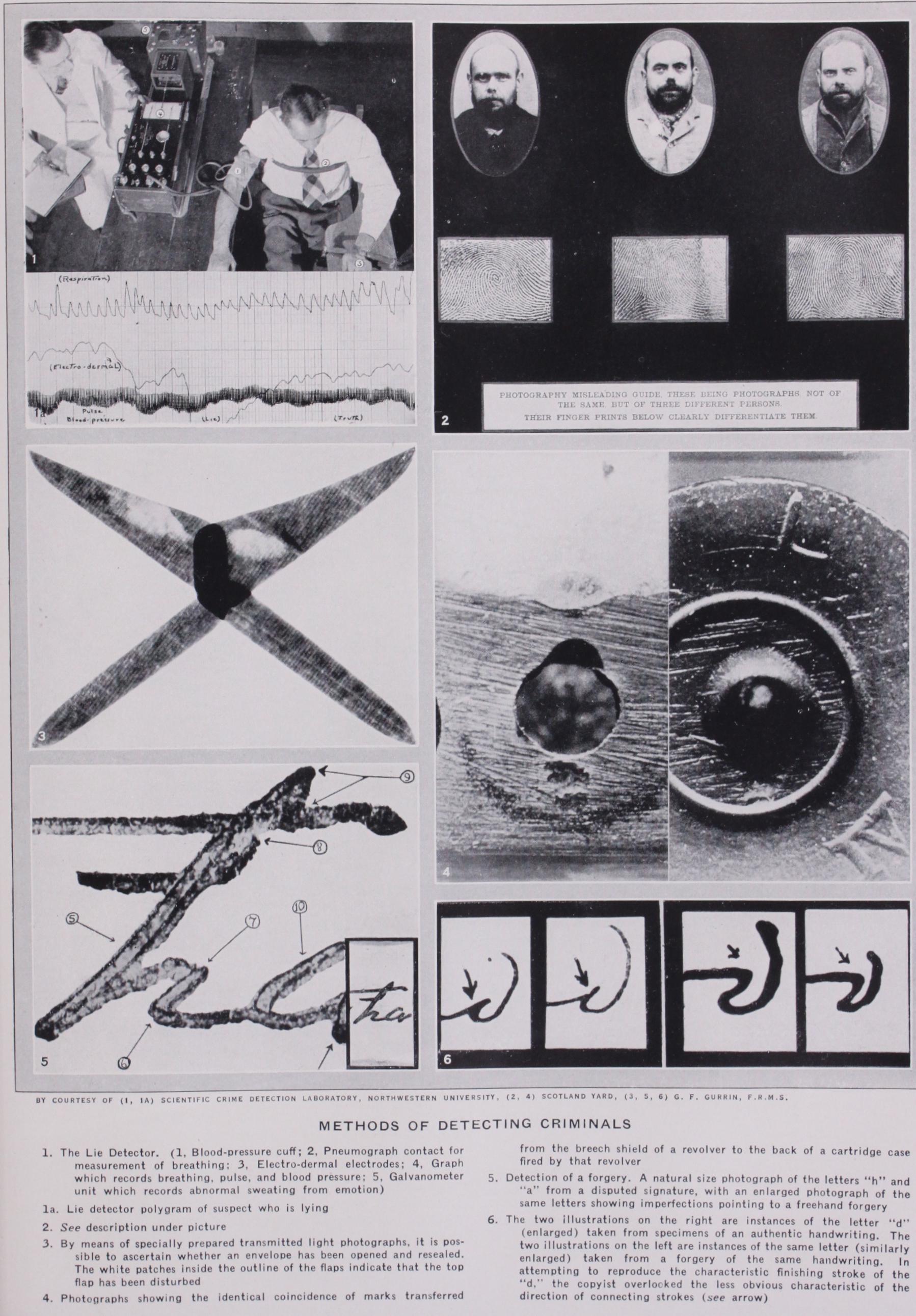 Criminal Investigation Criminal Investigation