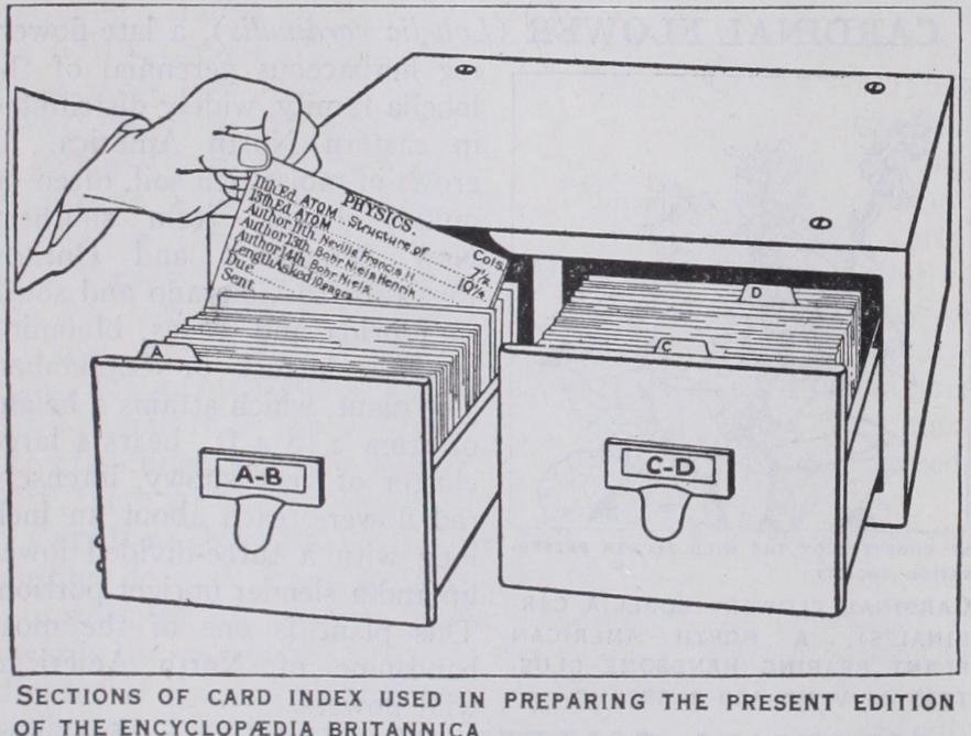 Card Index Card Index