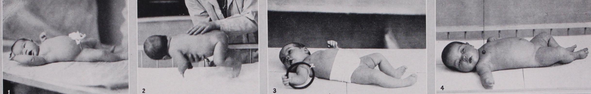 Child Psychology Child Psychology