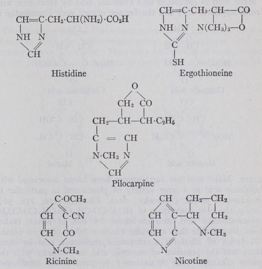 Heterocyclic Division