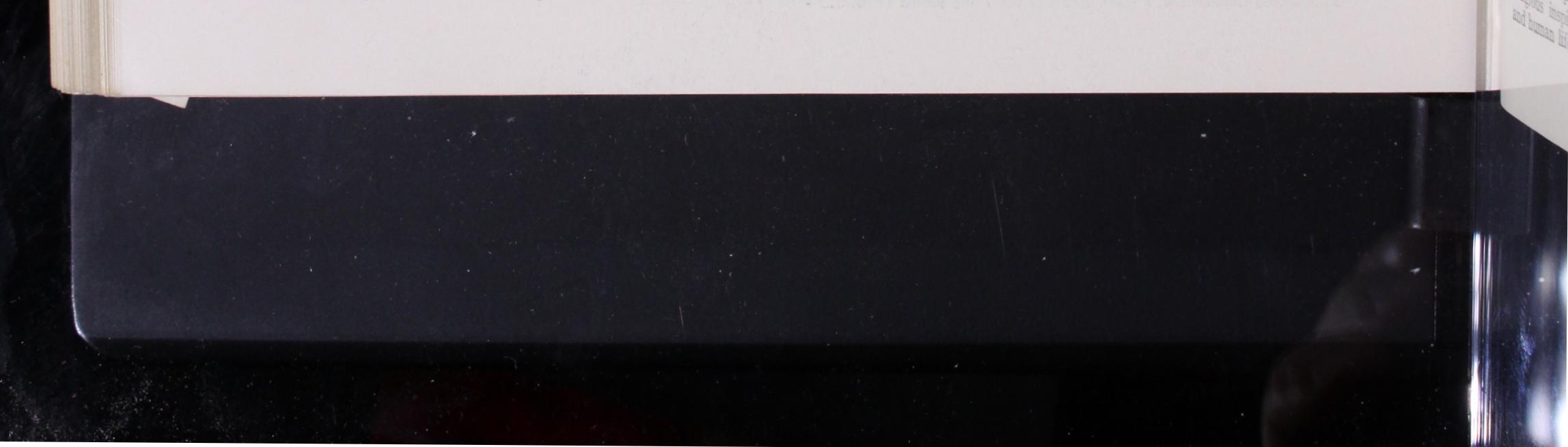 Chinese Statues of the Chinese Statues of the