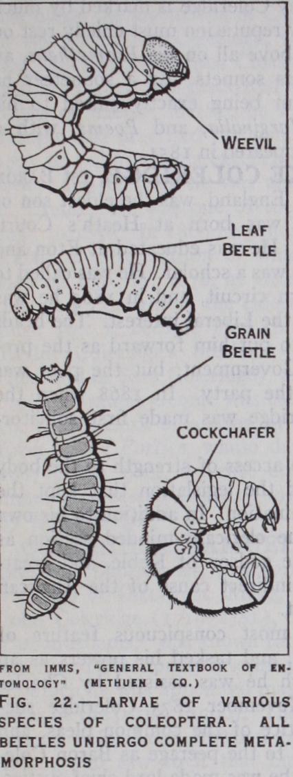 John Colepeper Colepeper John Colepeper Colepeper