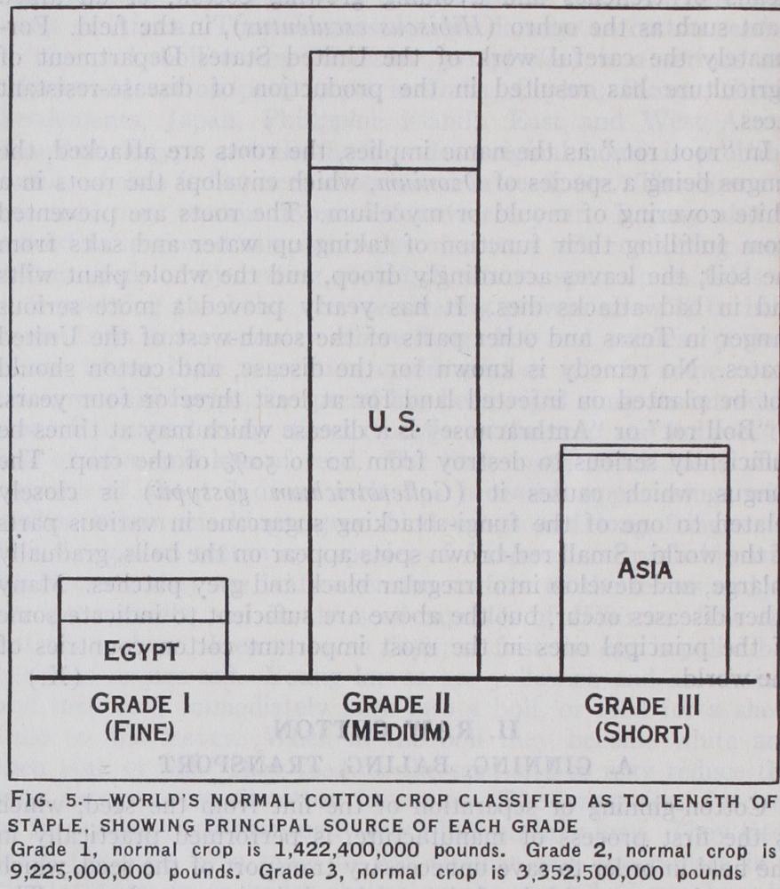 The Worlds Cotton Supplies
