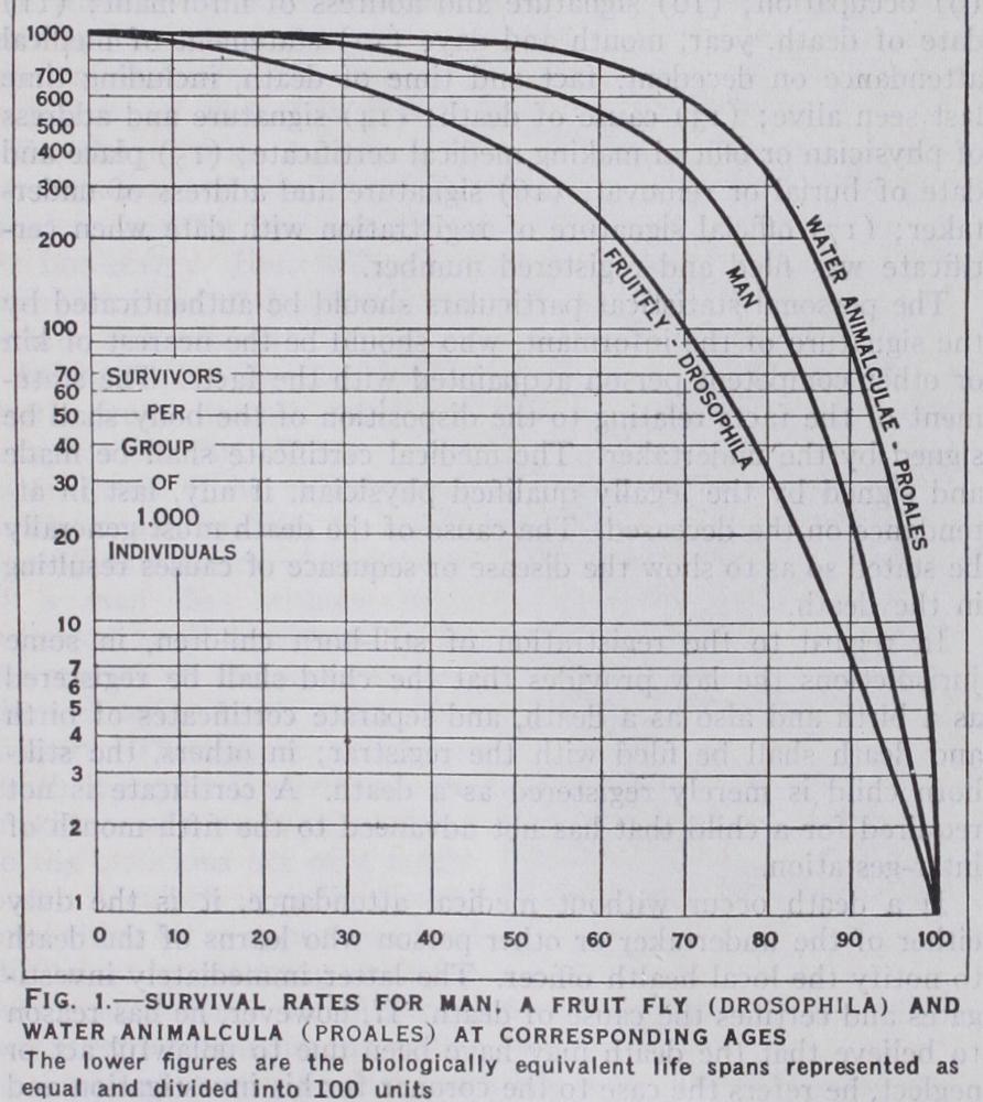 Biological Aspects of Death Biological Aspects of Death