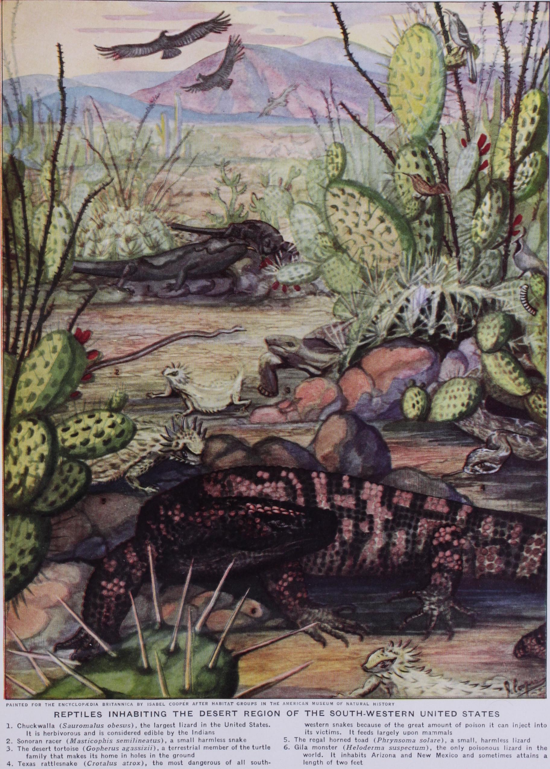 The Distribution of Animals in Inland Waters