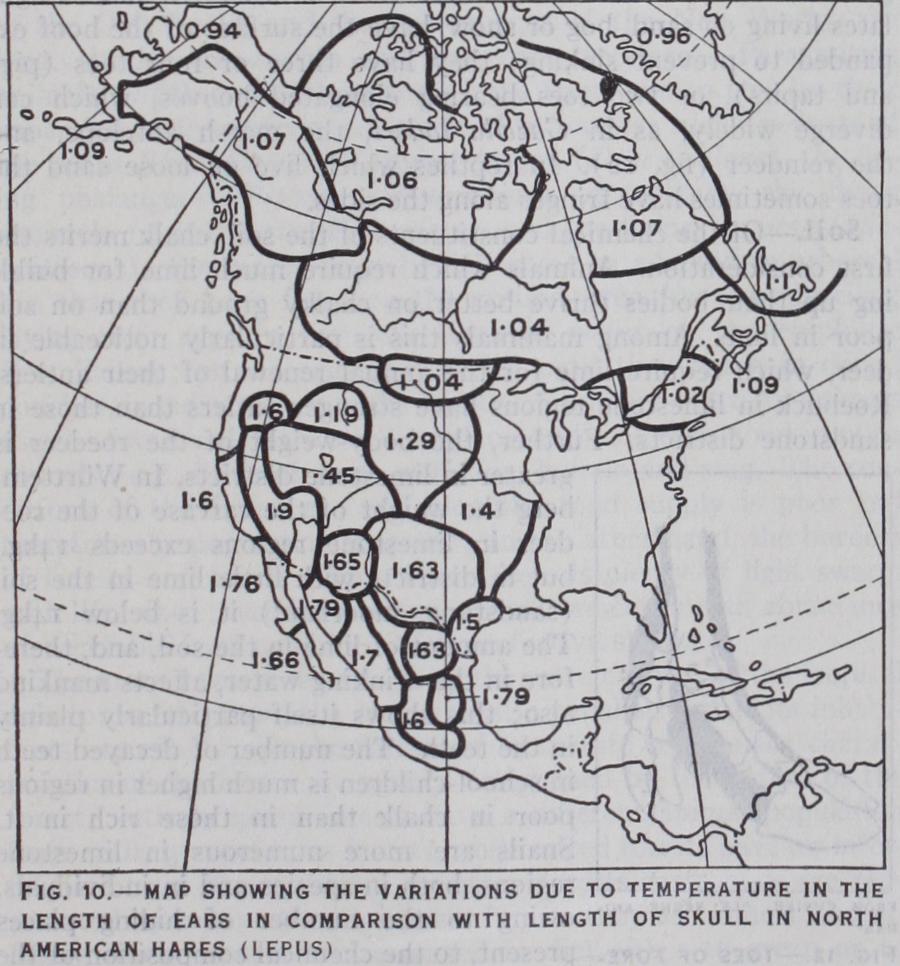 The Distribution of Terrestrial Animals