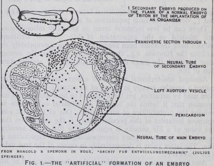 Experimental Embryology