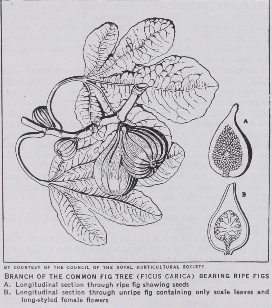 Fifth Monarchy Men Fifth Monarchy Men