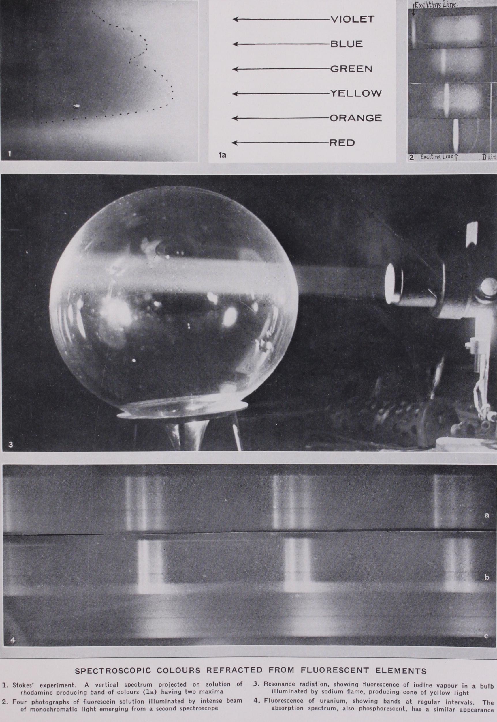 Fluorescence and Phosphorescence
