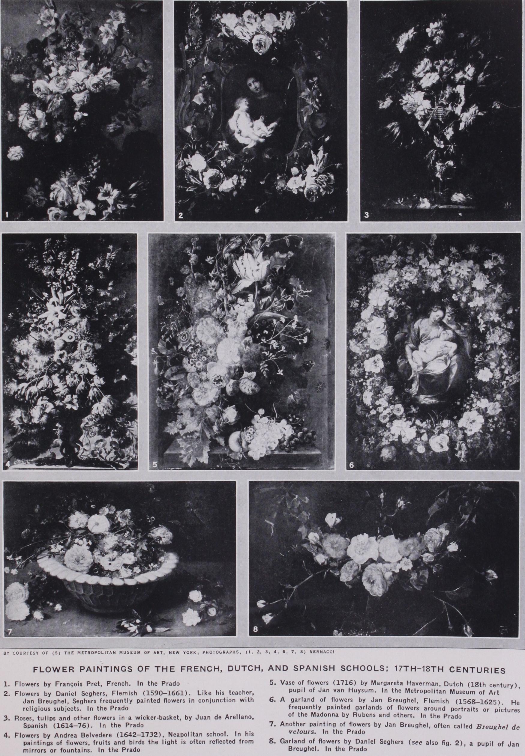 Occidental Flower Pain