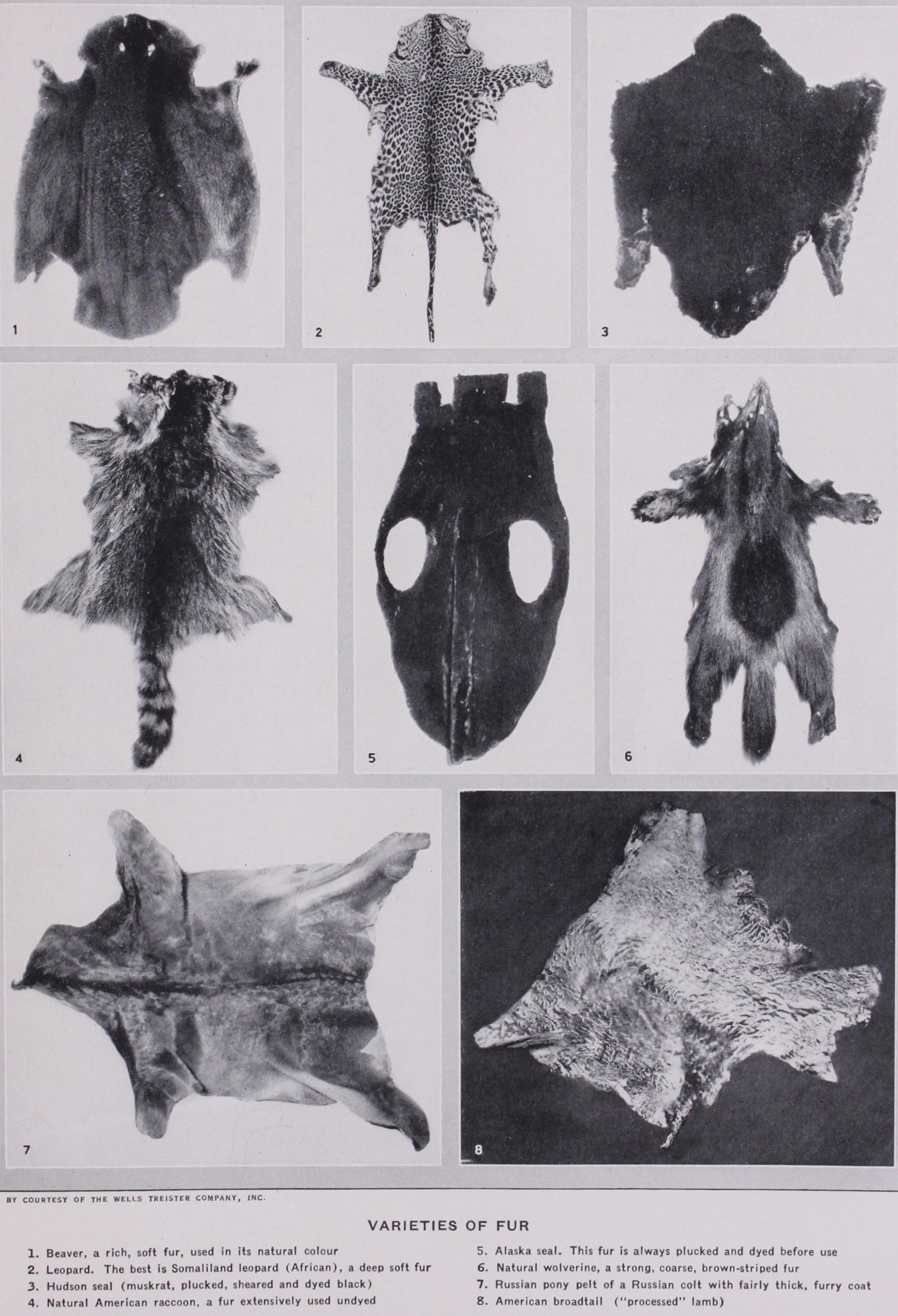 The Modern Fur Trade