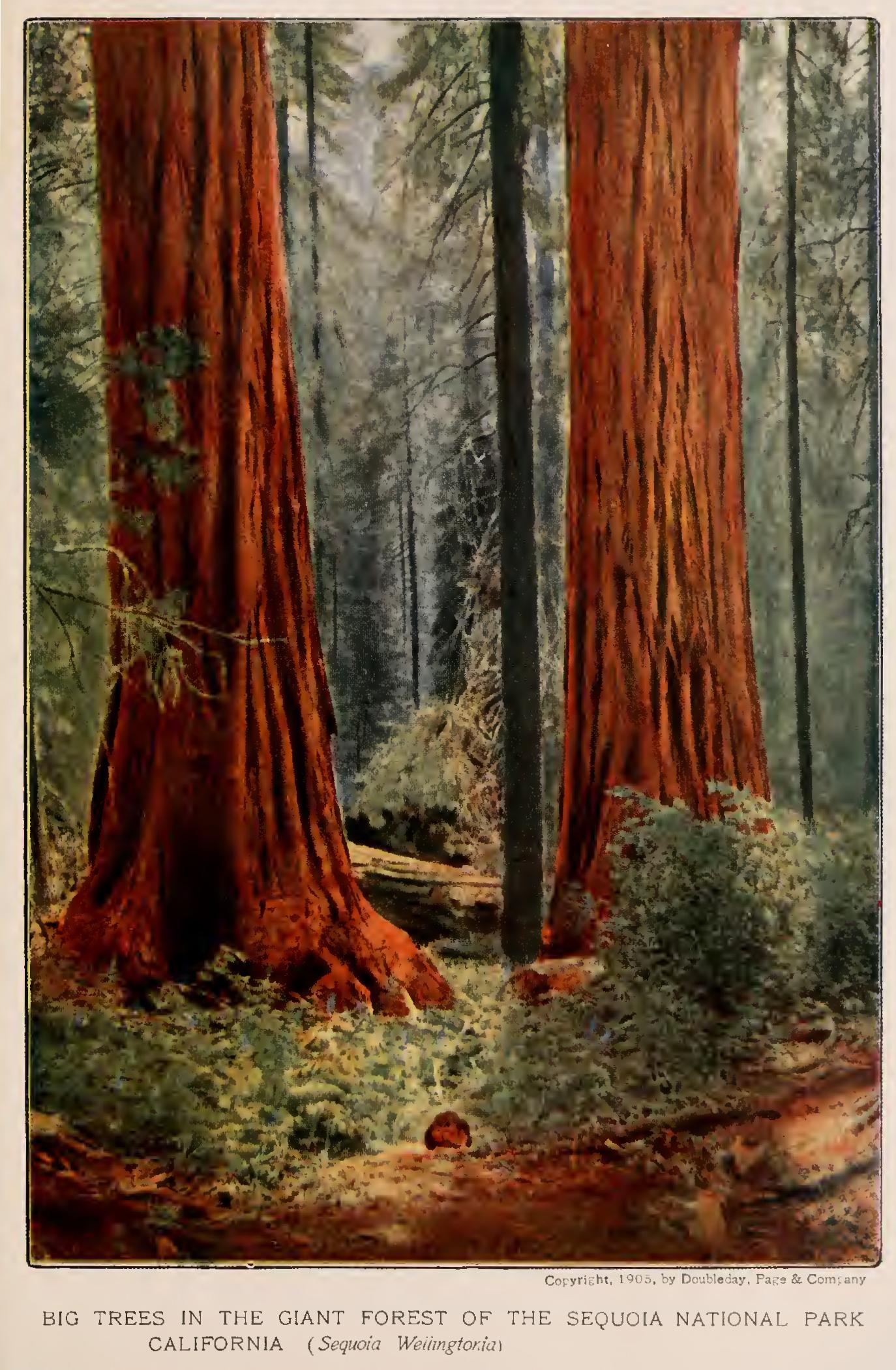 The Fall of the Leaves