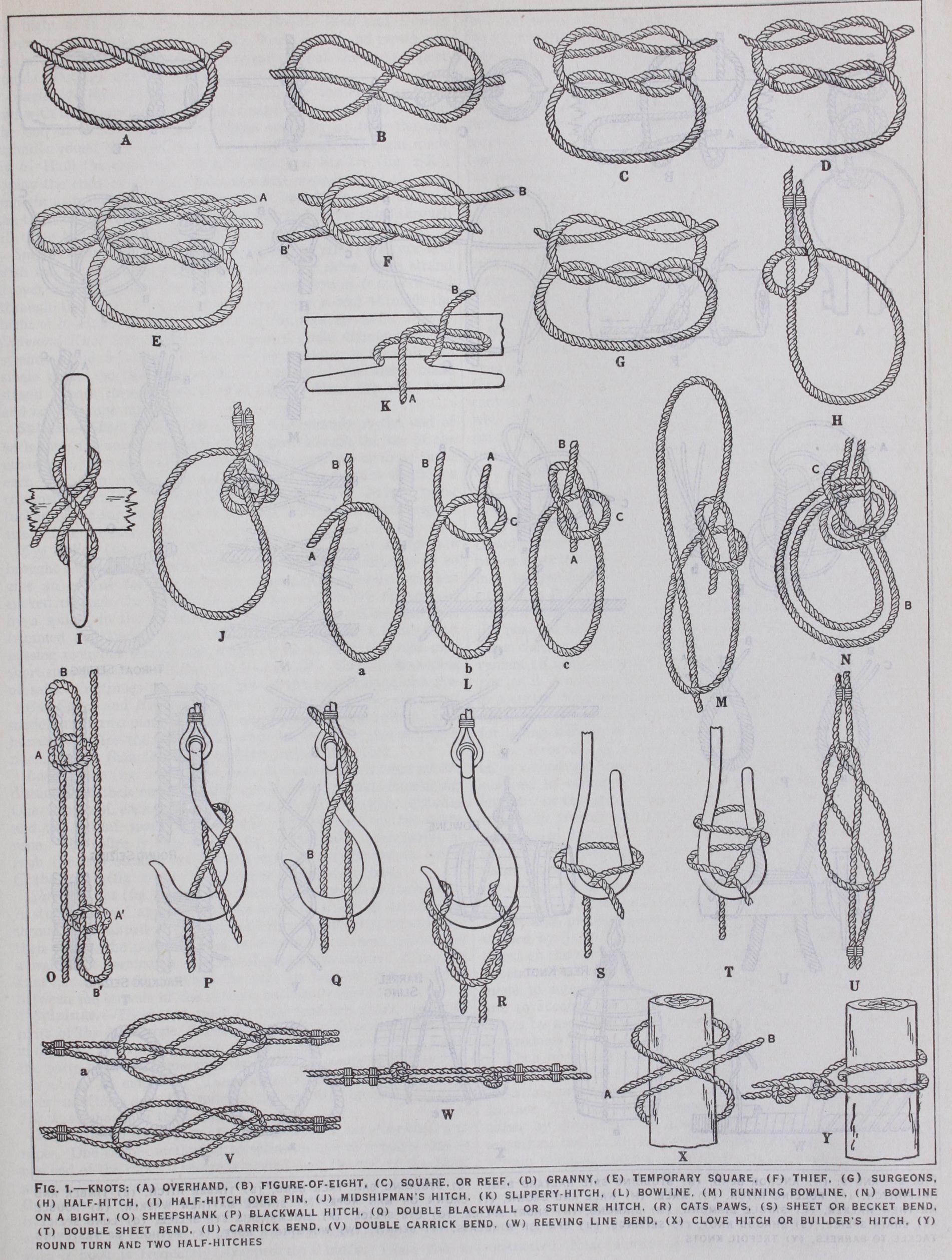 Bends Knots
