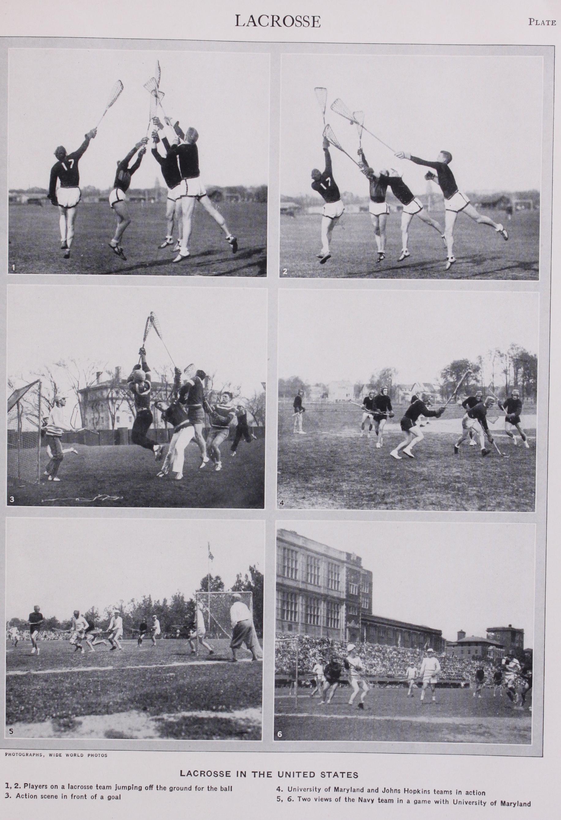 Lactic Acid Lactic Acid