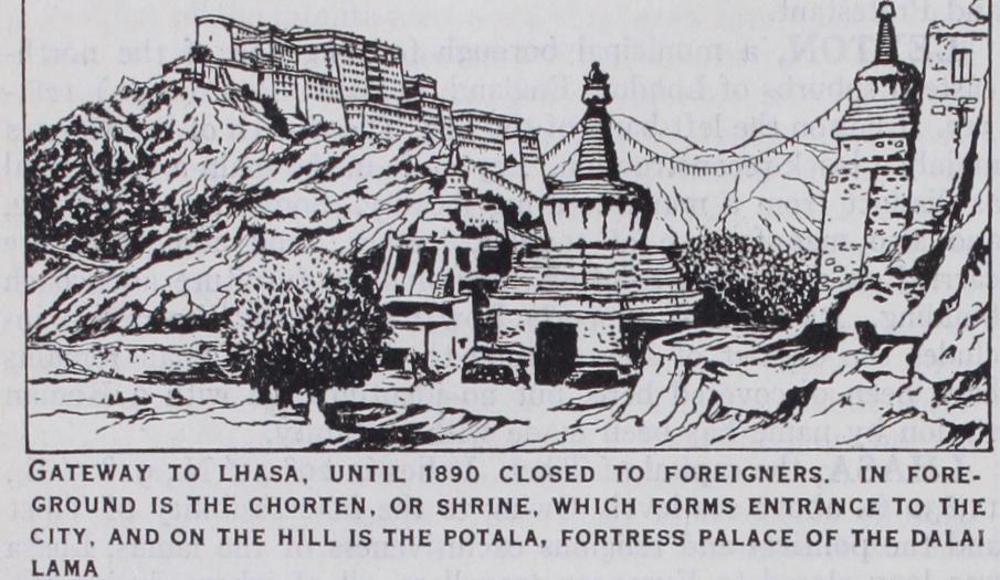 Lhasa Lhasa