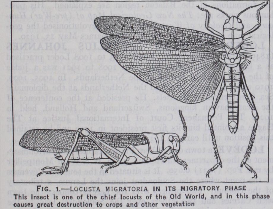 Locust
