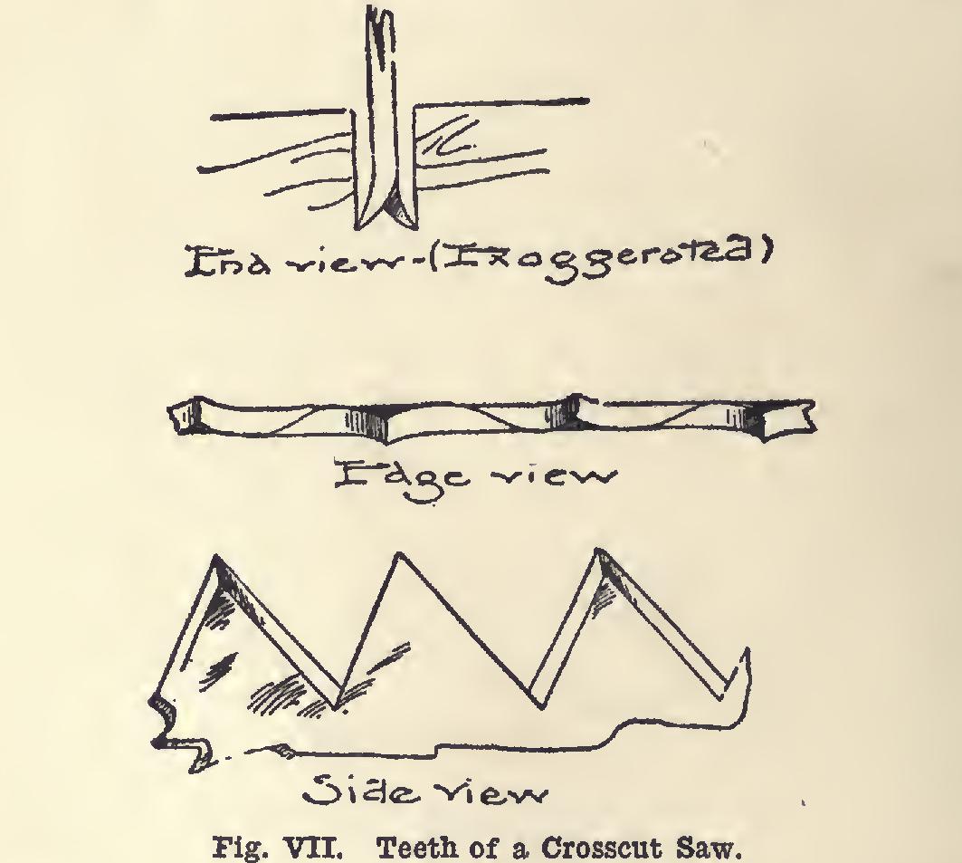 Use and Care of Tools Use and Care of Tools